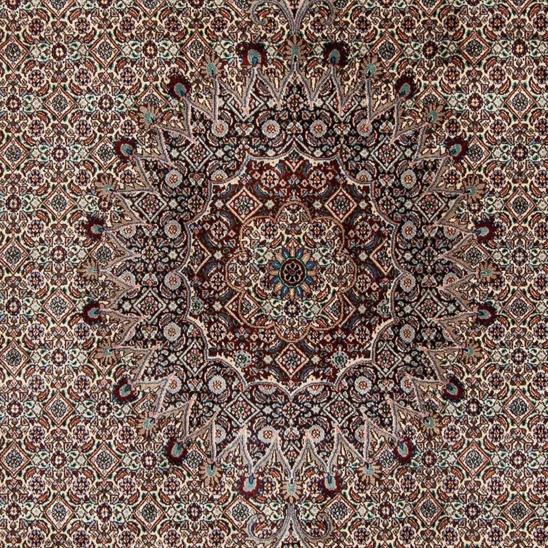 Moud Teppe 310x201cm - Persisk teppe