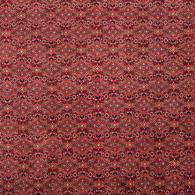 Bidjar Teppe 296x250cm - Persisk teppe