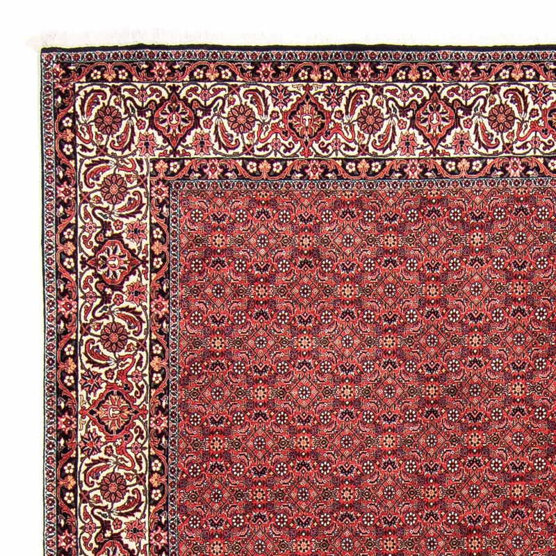Bidjar Teppe 296x250cm - Persisk teppe