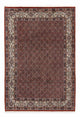 Moud Teppe 200x288cm - Persisk teppe