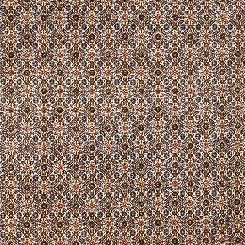 Moud Teppe 245x348cm - Persisk teppe - beige