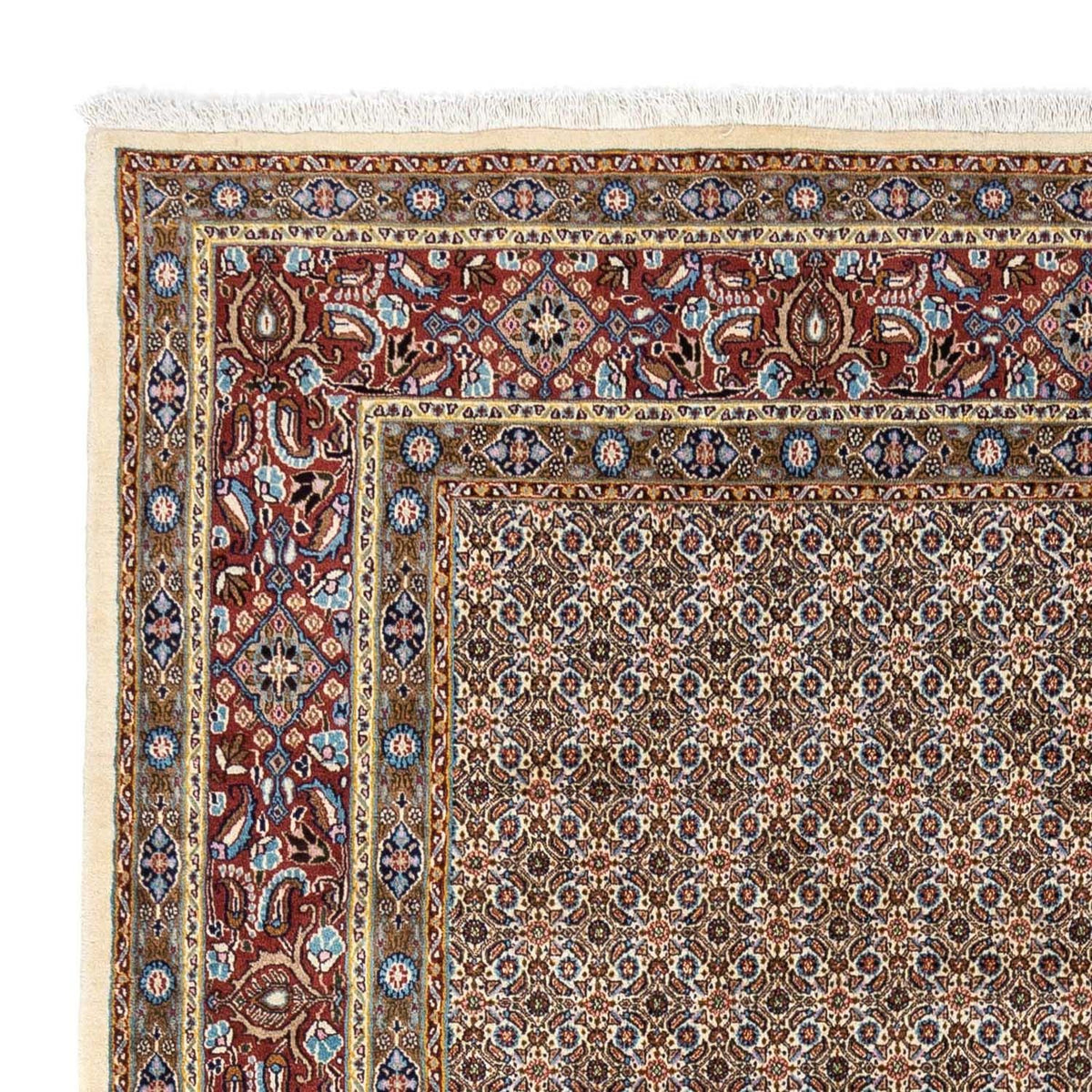 Moud Teppe 245x348cm - Persisk teppe - beige