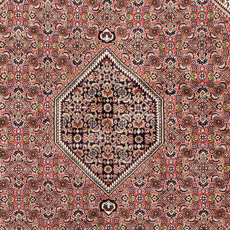 Bidjar Teppe 250x168cm - Persisk teppe
