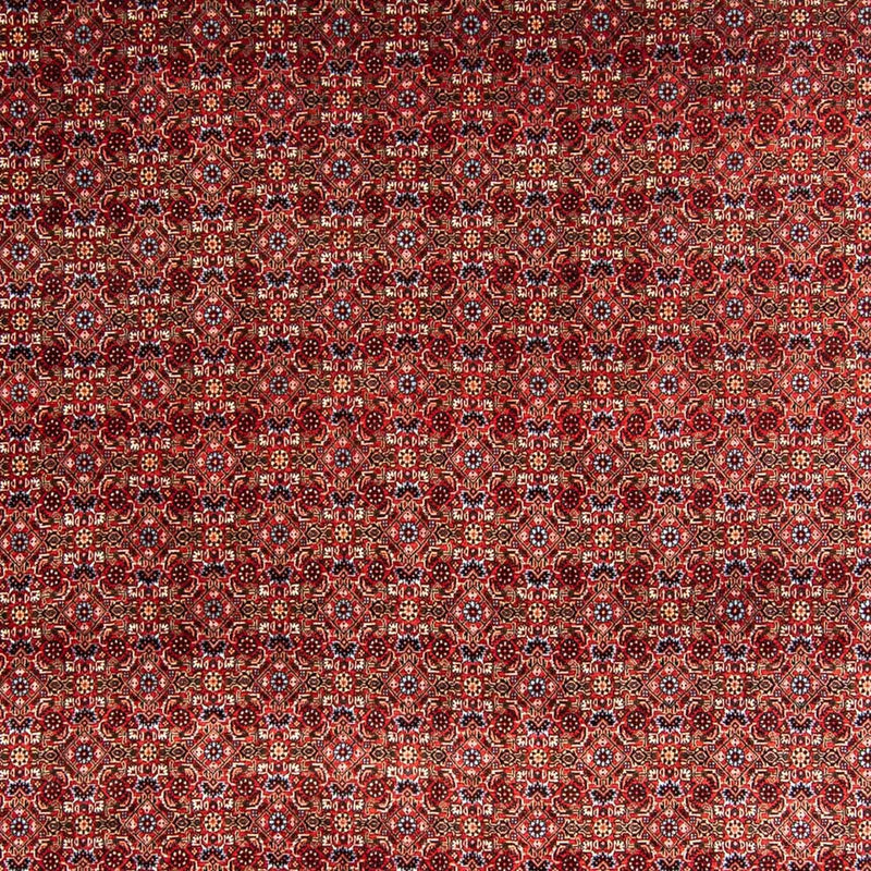 Bidjar Teppe 250x350cm - Persisk teppe