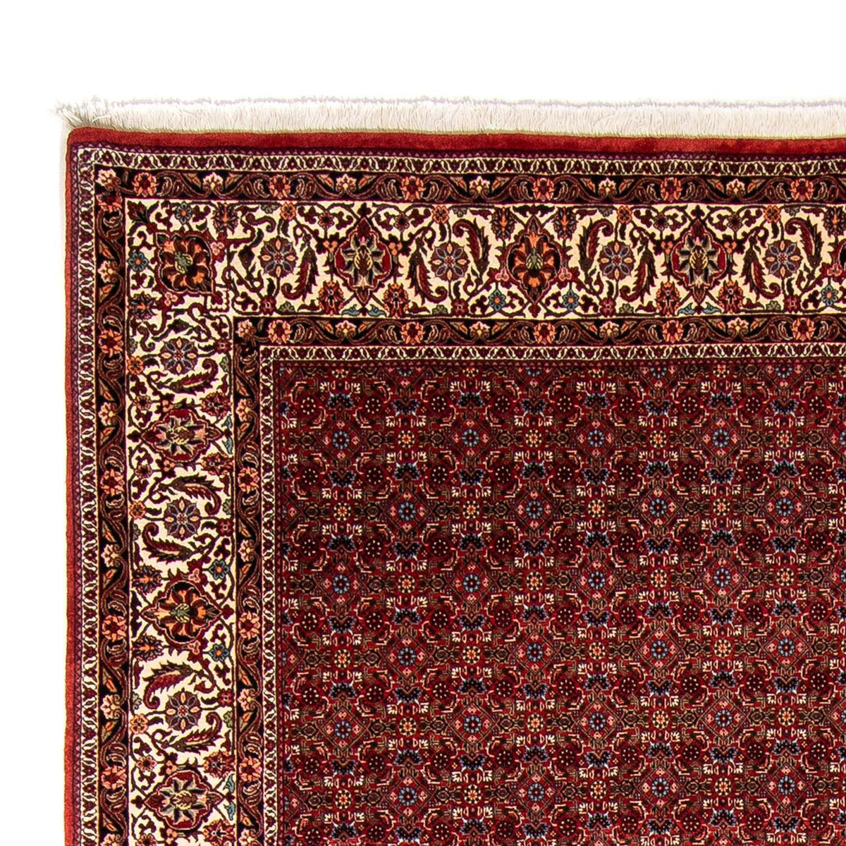 Bidjar Teppe 250x350cm - Persisk teppe