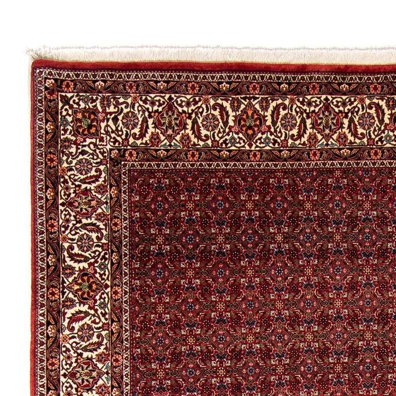 Bidjar Teppe 250x350cm - Persisk teppe