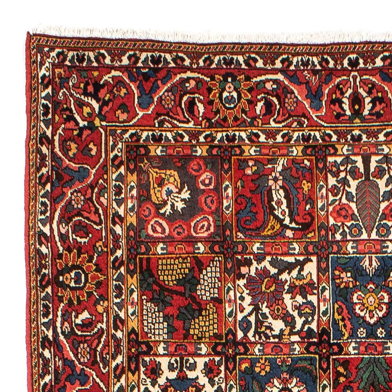 Bakhtiari Teppe 246x161cm - Persisk teppe