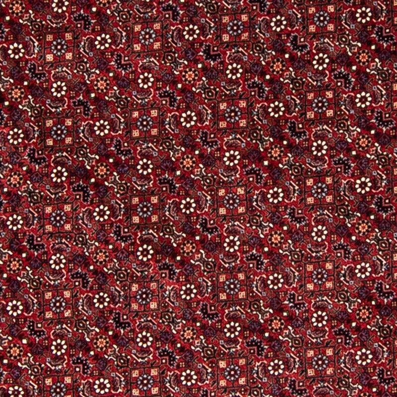 Bidjar Teppe 200x200cm - Persisk teppe