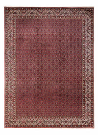 Bidjar - Takab Teppe 252x340cm - Persisk teppe – product image