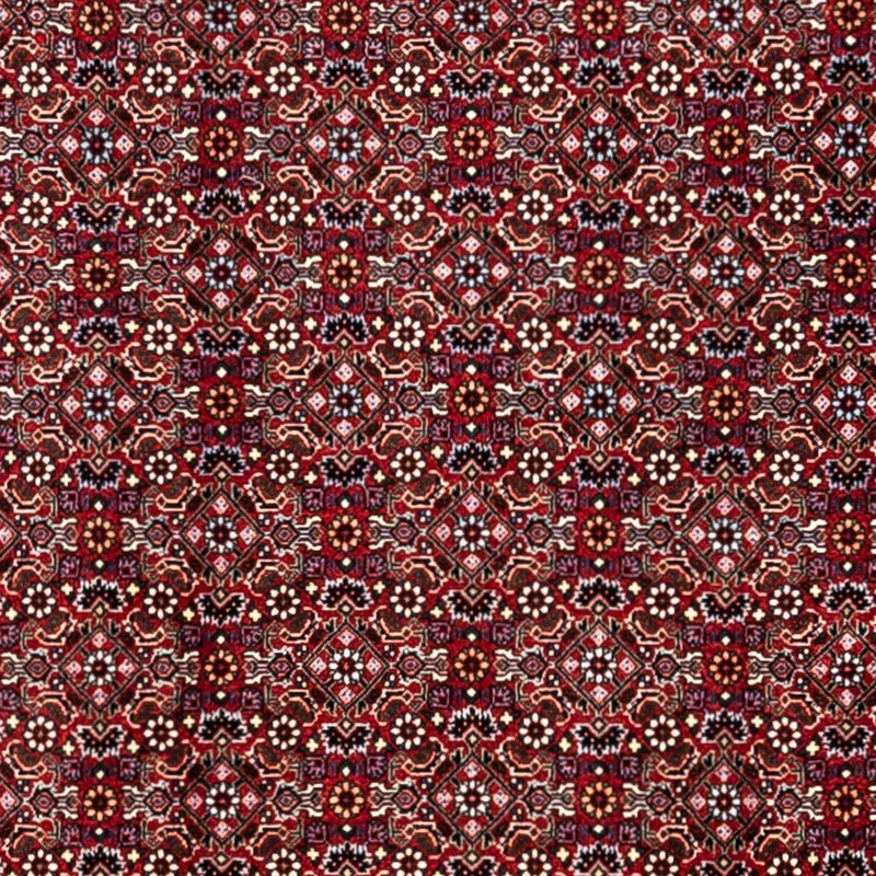 Bidjar - Takab Teppe 340x252cm - Persisk teppe