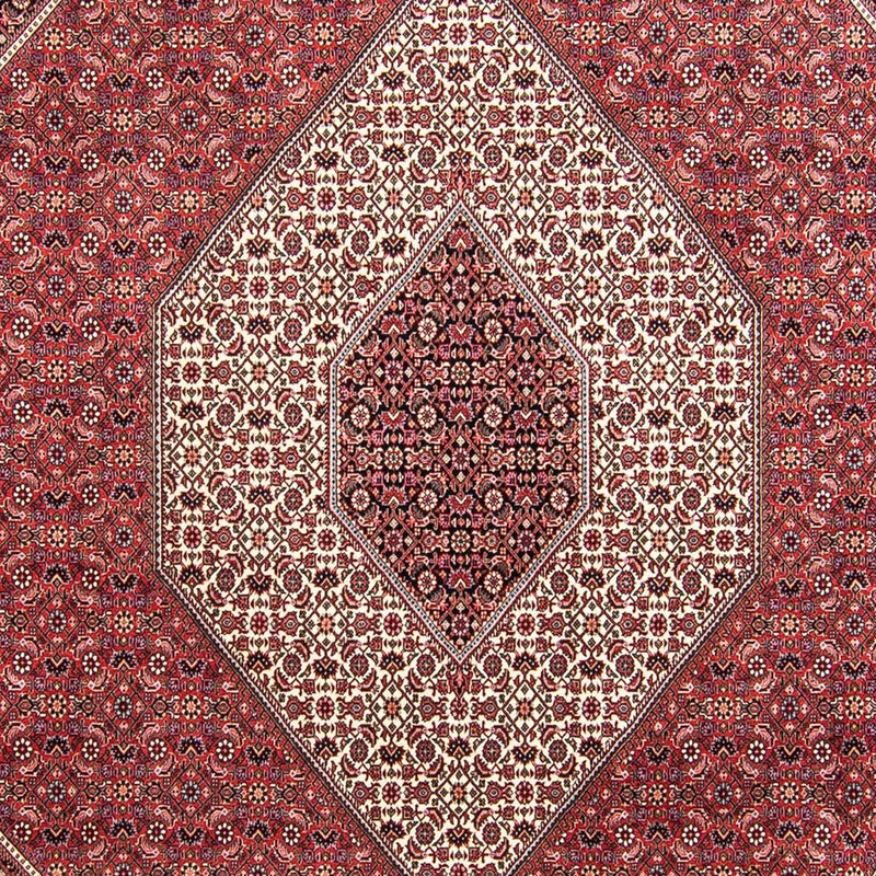 Bidjar Teppe 295x253cm - Persisk teppe