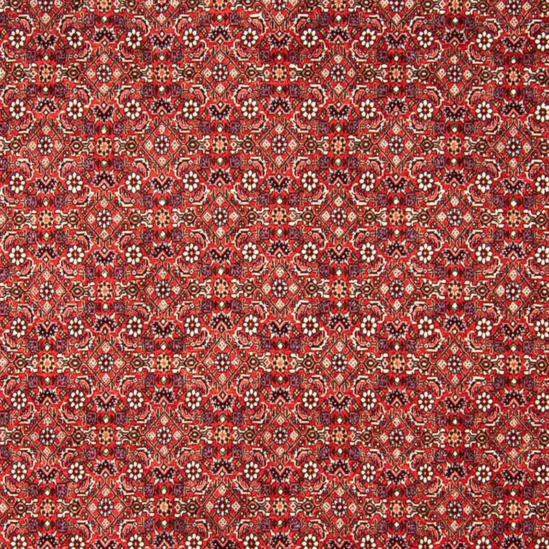 Bidjar Teppe 250x290cm - Persisk teppe