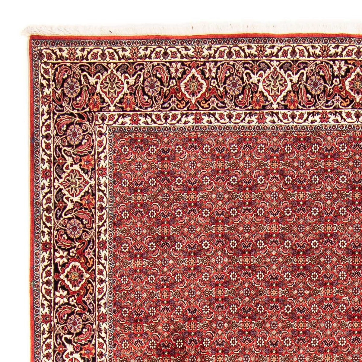 Bidjar Teppe 250x290cm - Persisk teppe