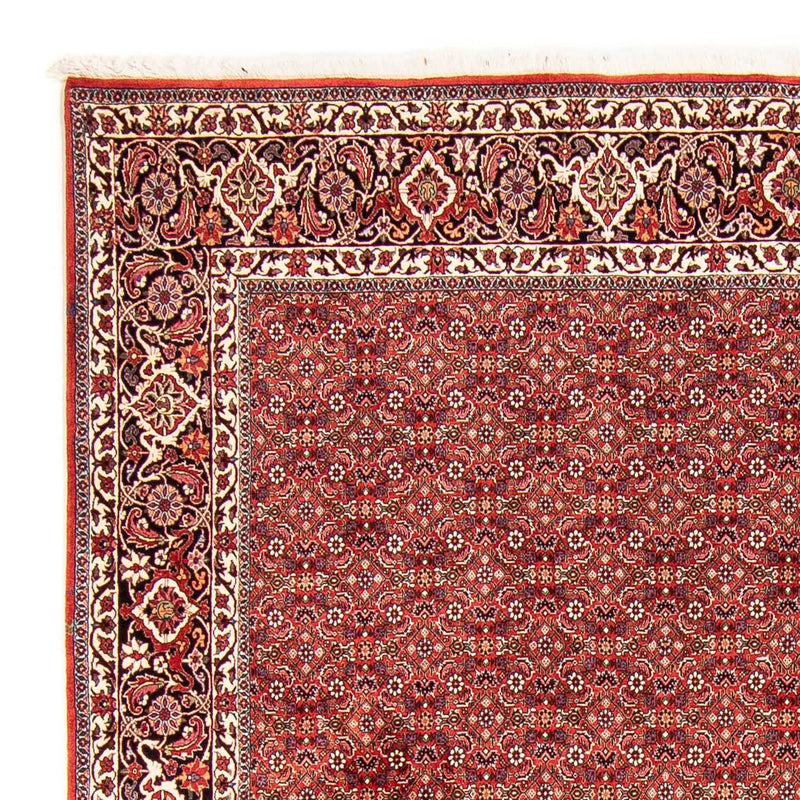 Bidjar Teppe 250x290cm - Persisk teppe