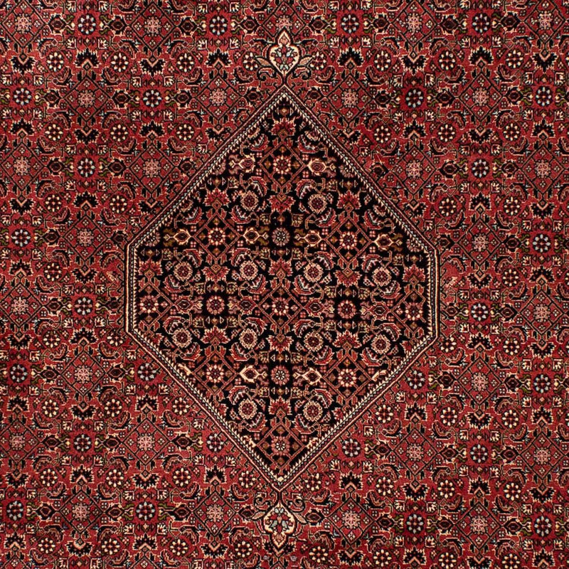 Bidjar Teppe 300x202cm - Persisk teppe