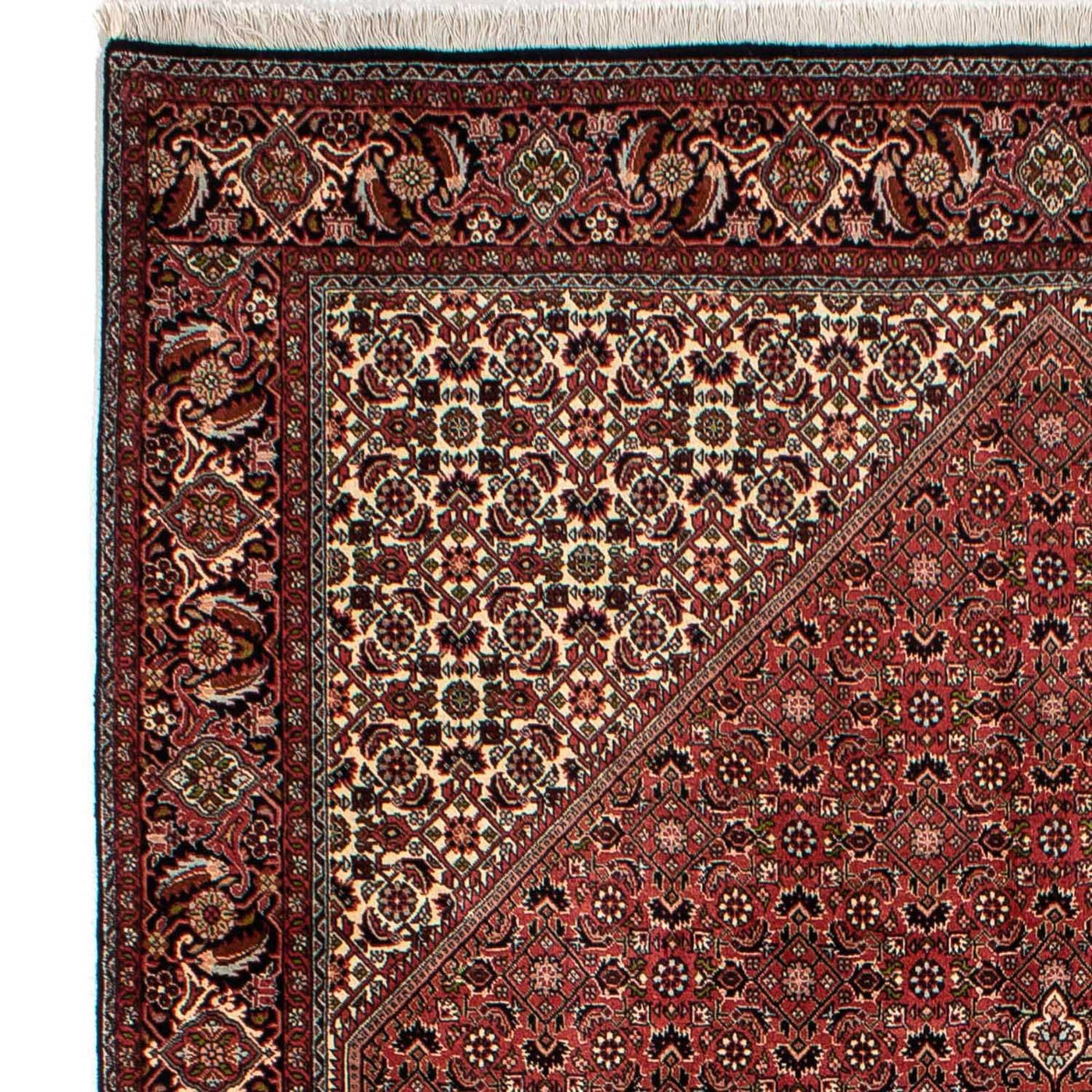 Bidjar Teppe 300x202cm - Persisk teppe