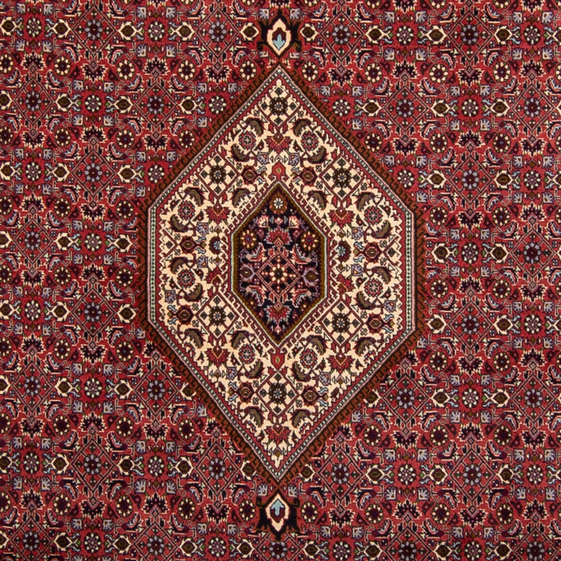 Bidjar Teppe 250x338cm - Persisk teppe