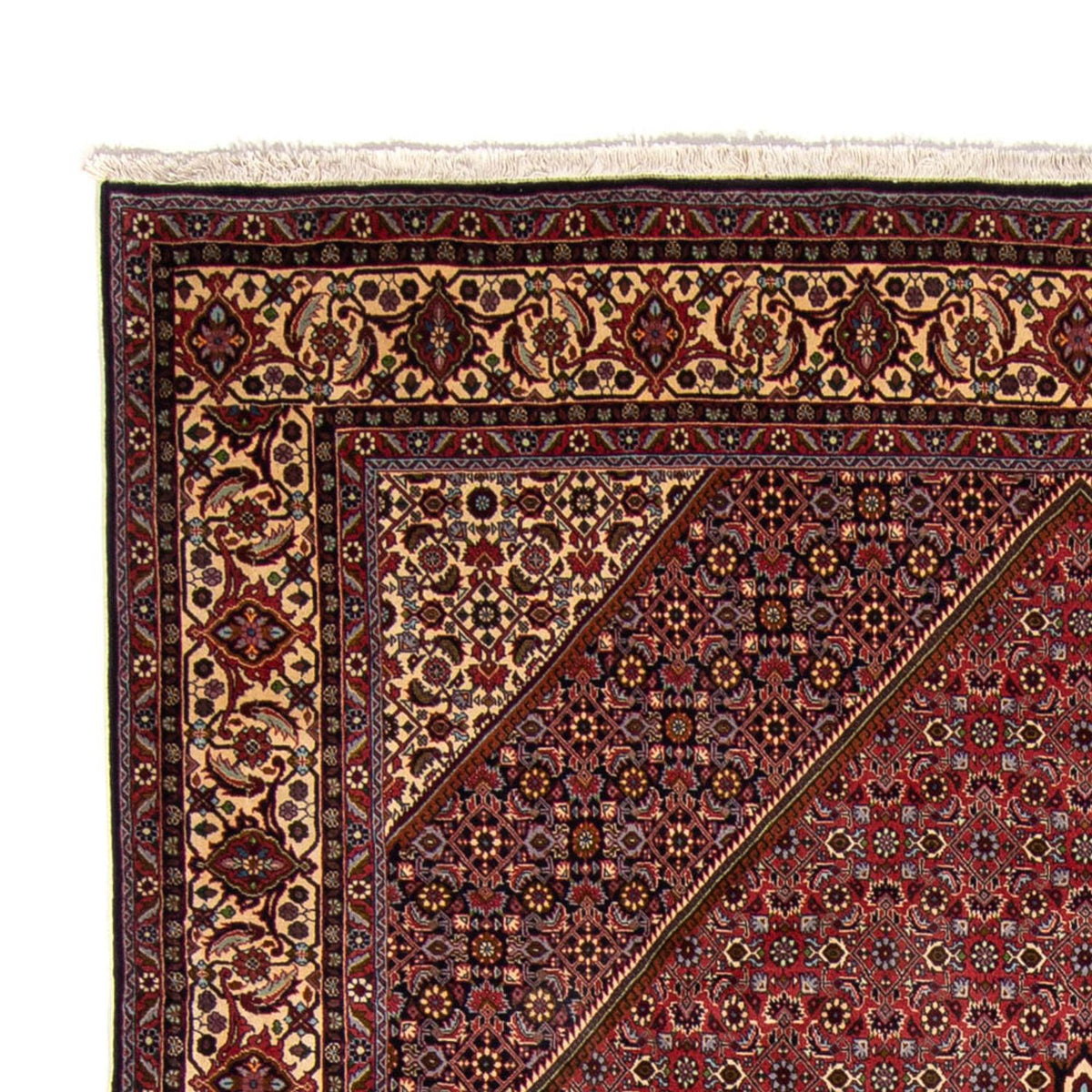 Bidjar Teppe 250x338cm - Persisk teppe
