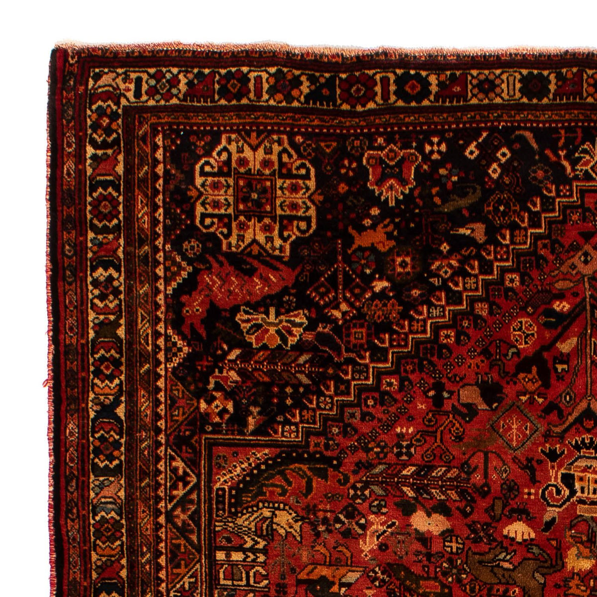 Shiraz Teppe 205x268cm - Persisk teppe