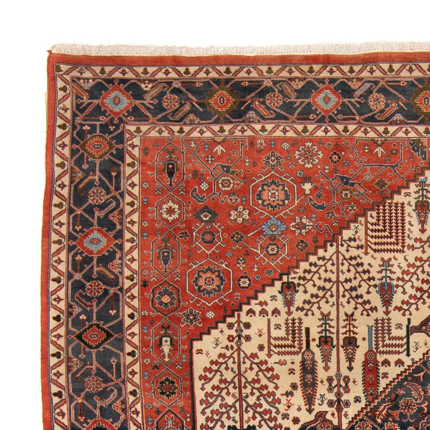 Kashkuli Teppe 258x230cm - Persisk teppe