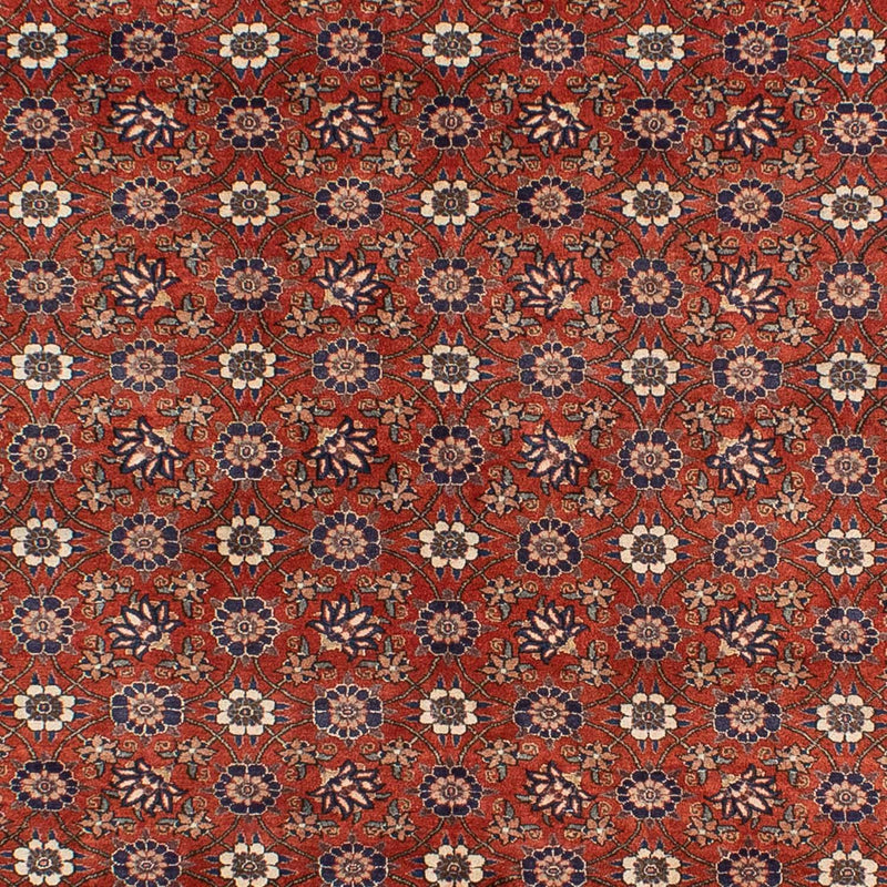 Varamin Teppe 301x223cm - Persisk teppe