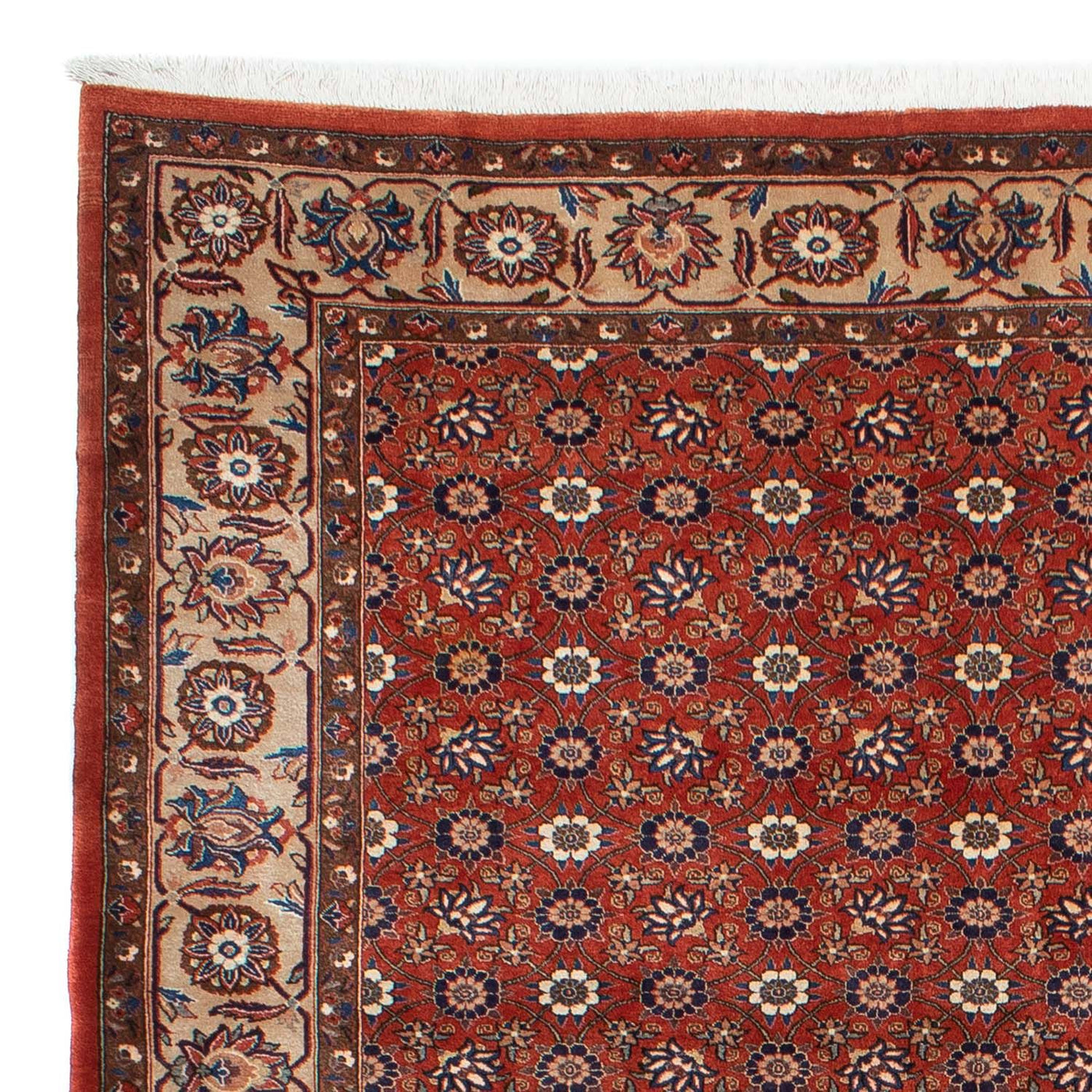 Varamin Teppe 301x223cm - Persisk teppe