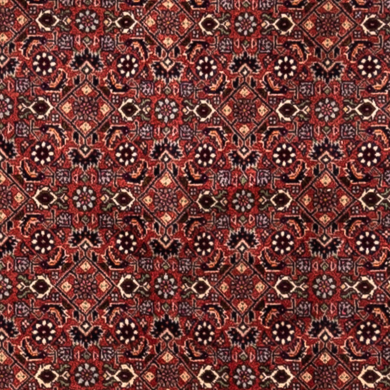 Bidjar - Takab Teppe 293x200cm - Persisk teppe