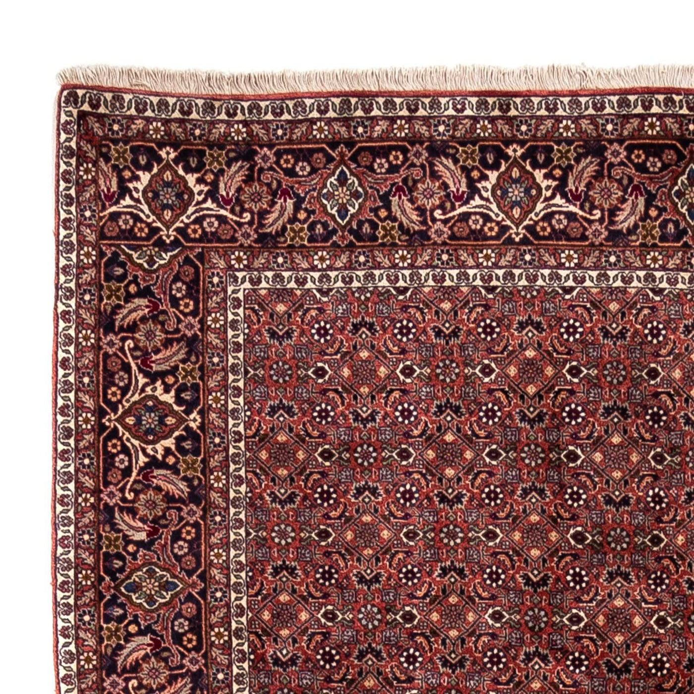 Bidjar - Takab Teppe 293x200cm - Persisk teppe