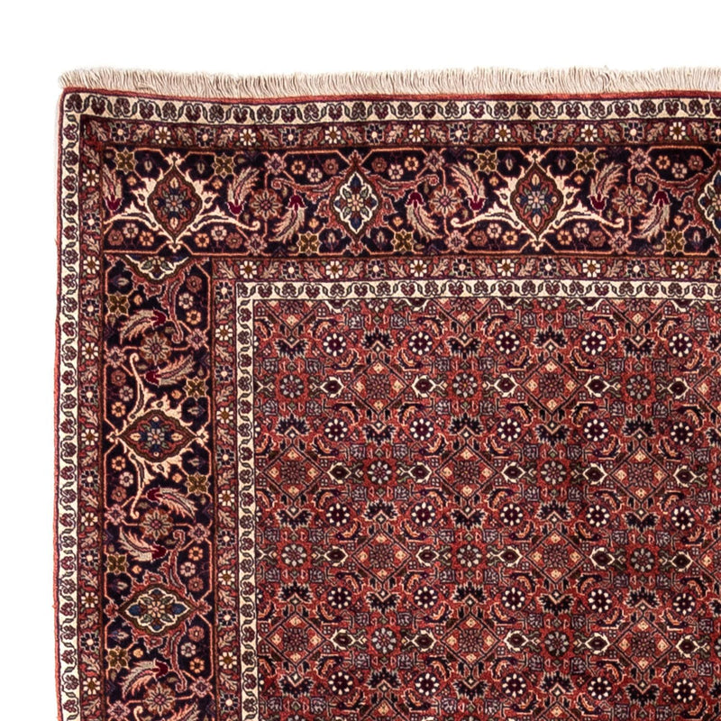 Bidjar - Takab Teppe 293x200cm - Persisk teppe