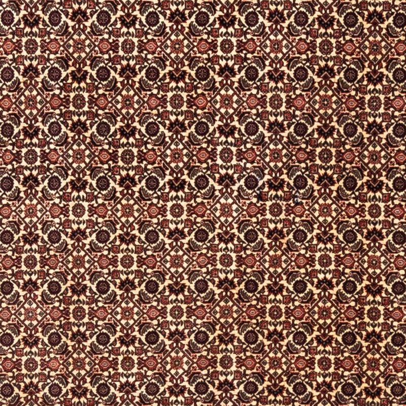 Bidjar - Takab Teppe 287x208cm - Persisk teppe