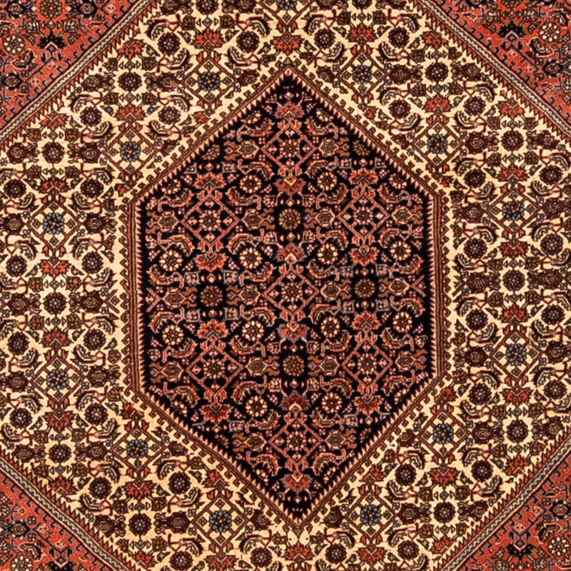 Bidjar - Takab Teppe 291x202cm - Persisk teppe