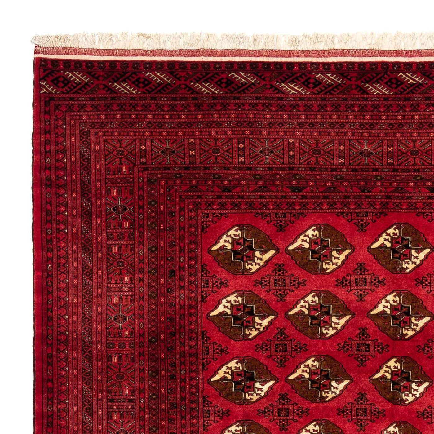 Shiraz Teppe 290x203cm - Persisk teppe