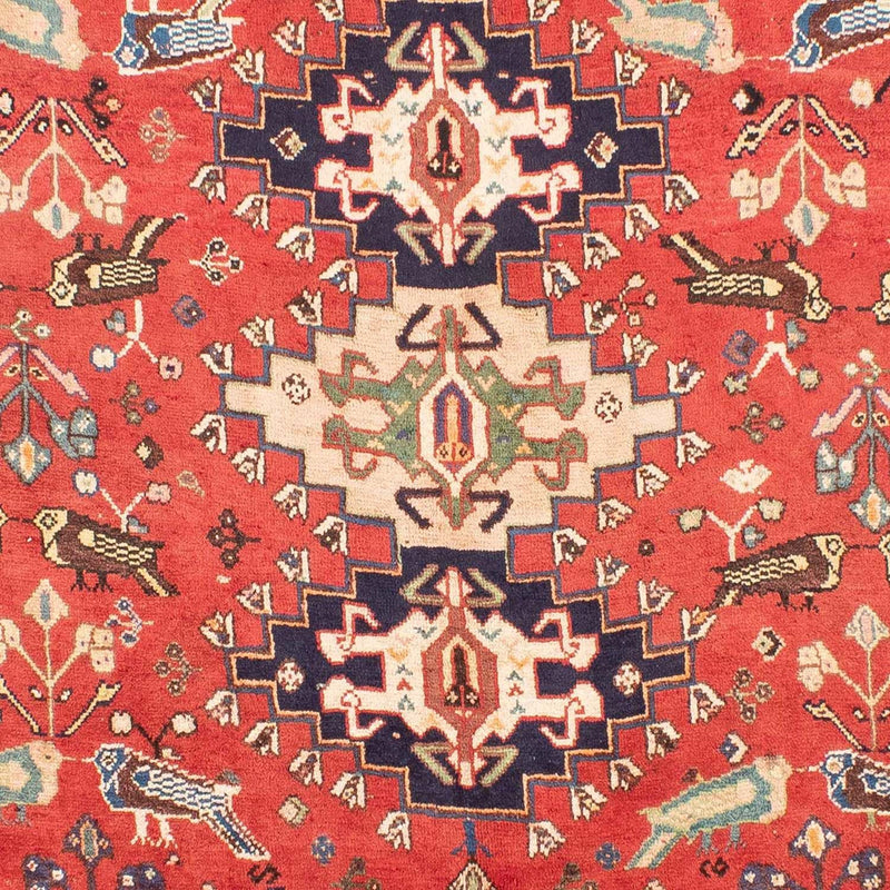 Shiraz Teppe 257x205cm - Persisk teppe