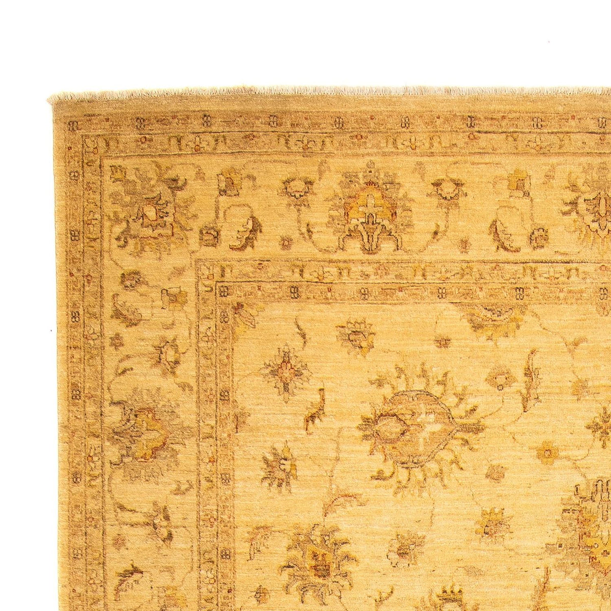 Farahan Teppe 254x368cm - Orientalsk teppe