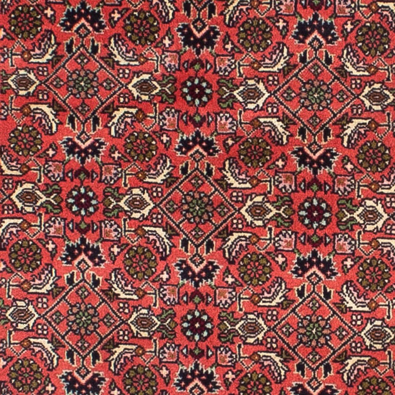Bidjar Teppe 248x71cm - Persisk teppe