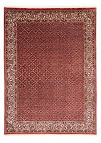 Bidjar Teppe 330x246cm - Persisk teppe – product image