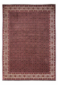Bidjar - Takab Teppe 246x345cm - Persisk teppe – product image