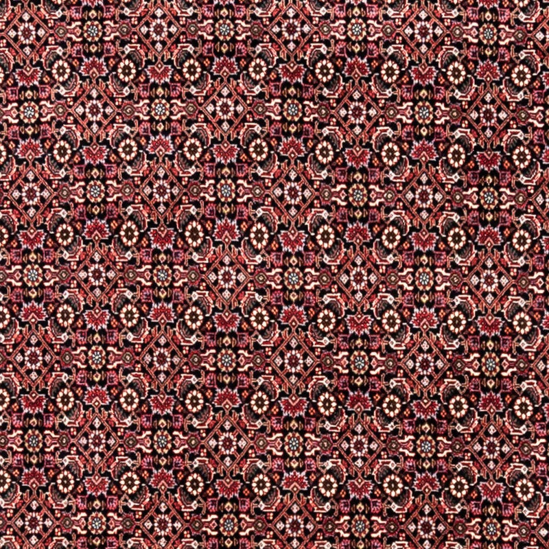 Bidjar - Takab Teppe 246x345cm - Persisk teppe