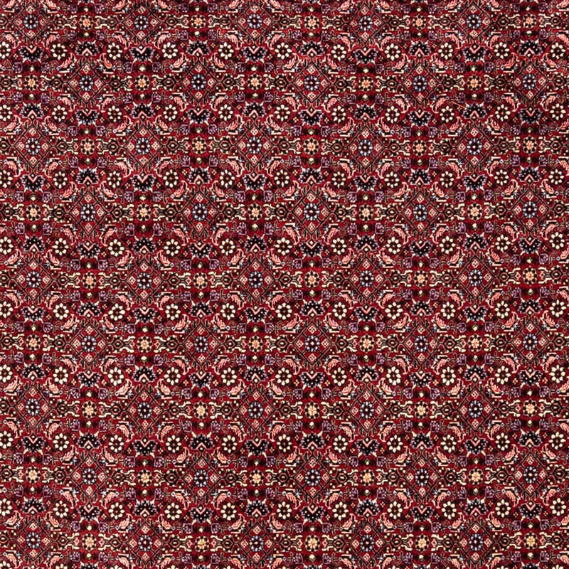Bidjar - Takab Teppe 250x349cm - Persisk teppe