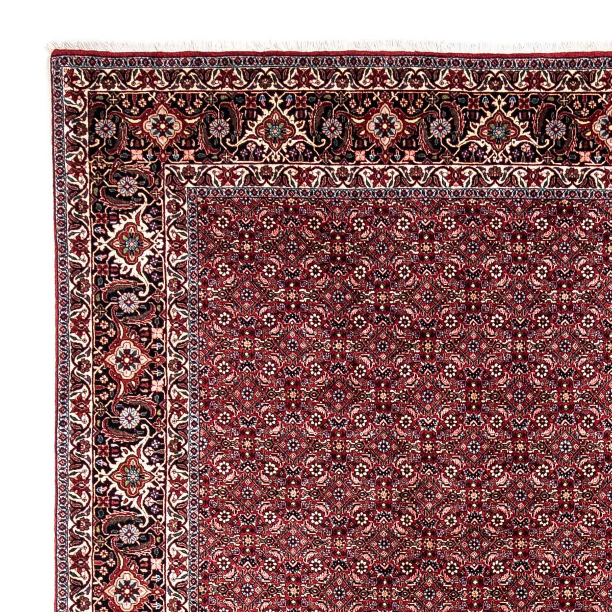Bidjar - Takab Teppe 250x349cm - Persisk teppe