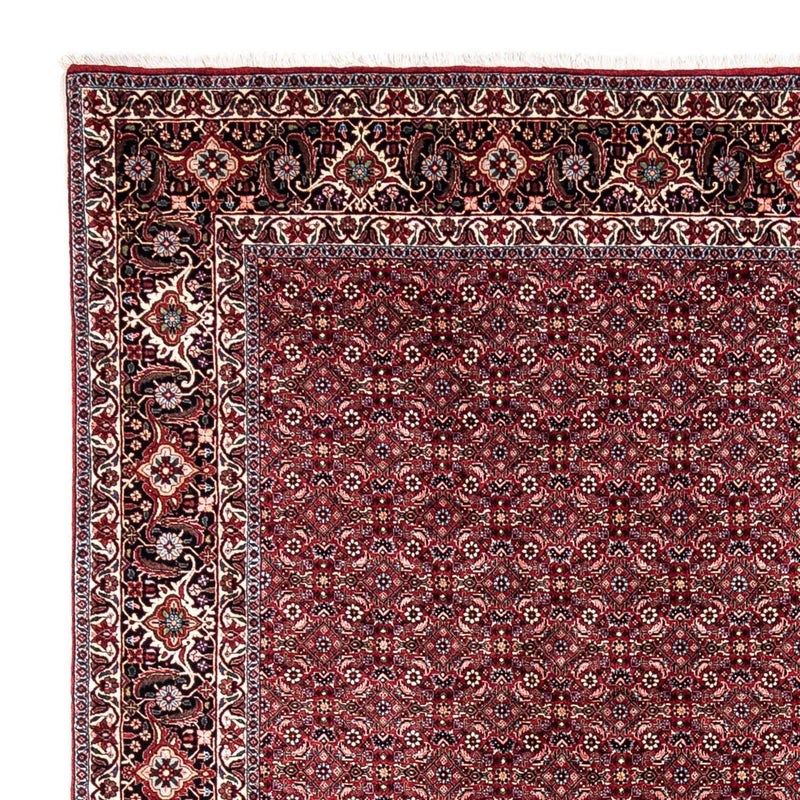 Bidjar - Takab Teppe 250x349cm - Persisk teppe