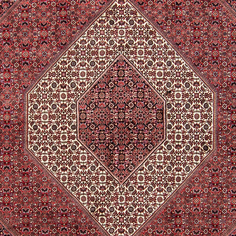 Bidjar Teppe 293x248cm - Persisk teppe