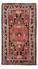 Tuserkan Teppe 74x127cm - Persisk teppe