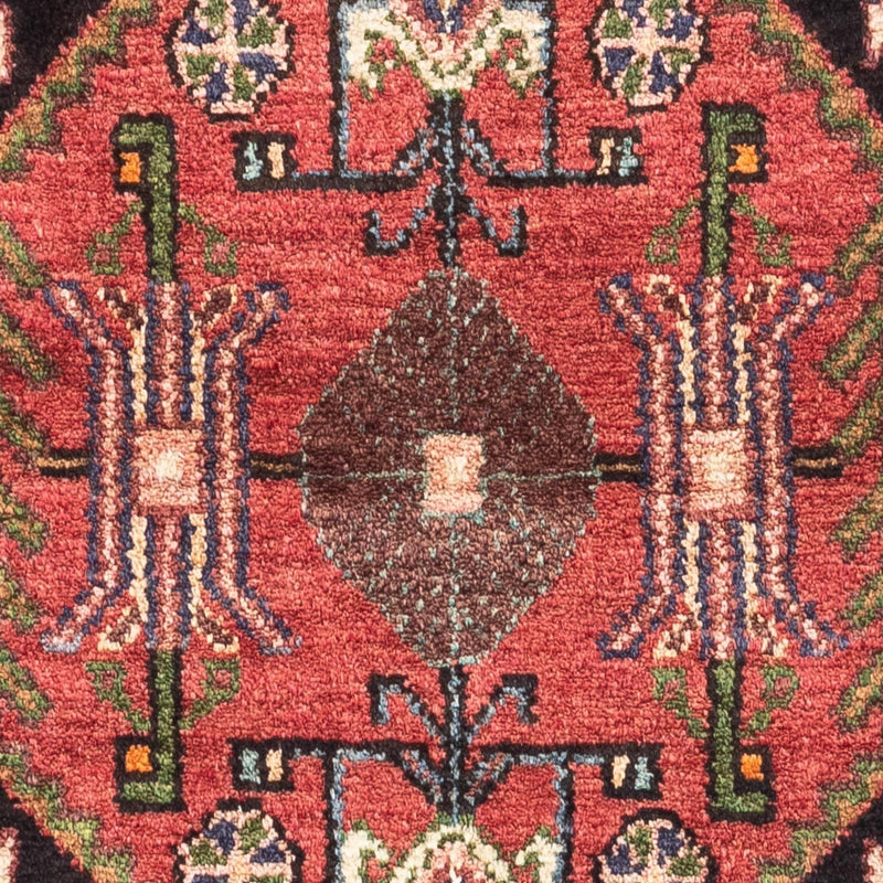 Tuserkan Teppe 74x127cm - Persisk teppe