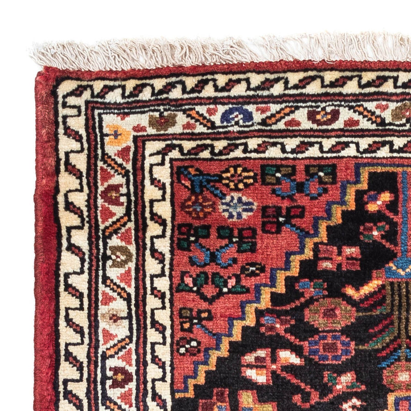 Tuserkan Teppe 75x130cm - Persisk teppe