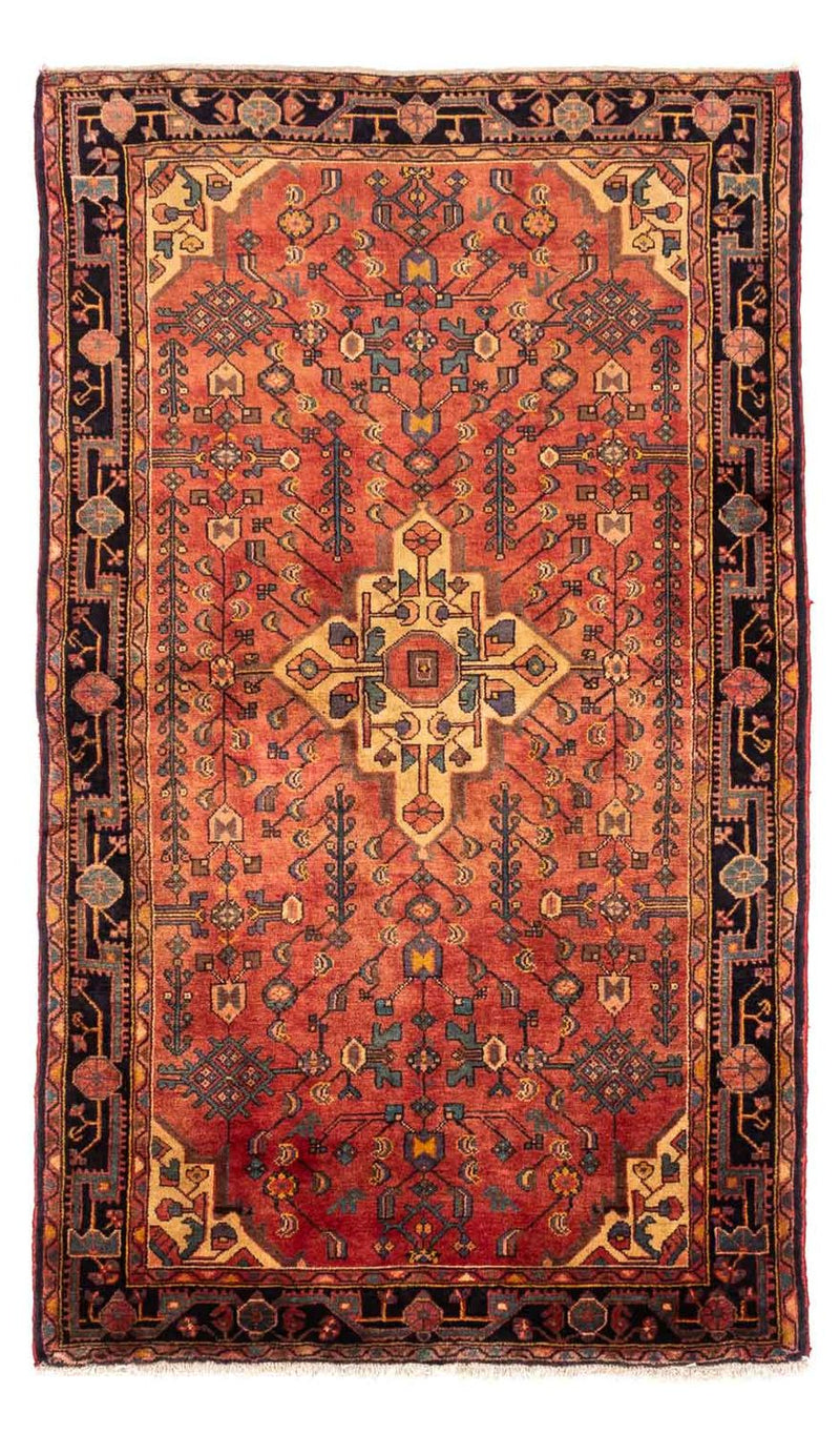 Hamadan Teppe 242x147cm - Persisk teppe