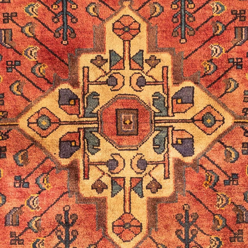 Hamadan Teppe 242x147cm - Persisk teppe
