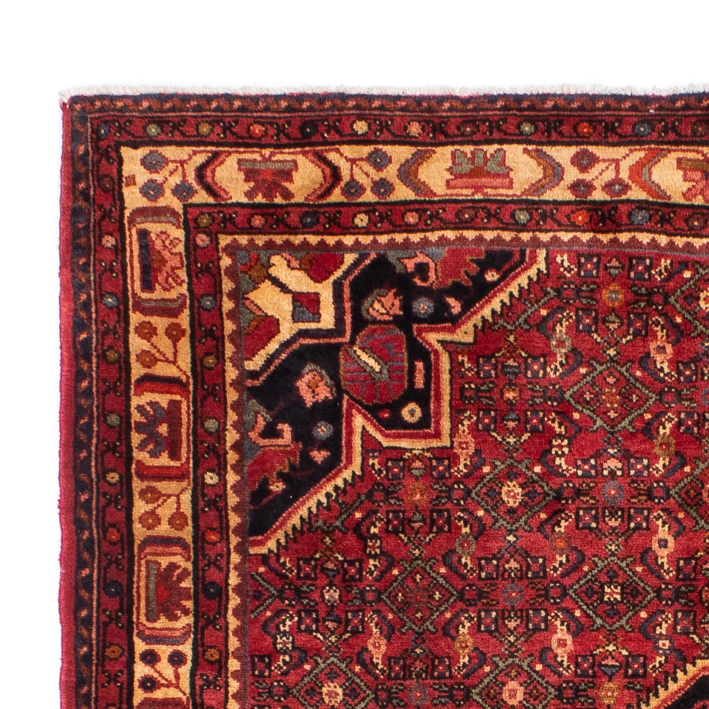 Hosseinabad Teppe 211x165cm - Persisk teppe