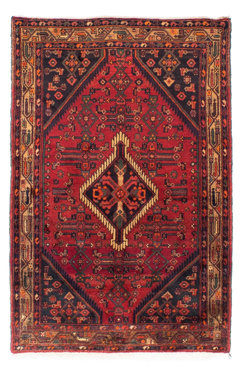 Hosseinabad Teppe 221x144cm - Persisk teppe