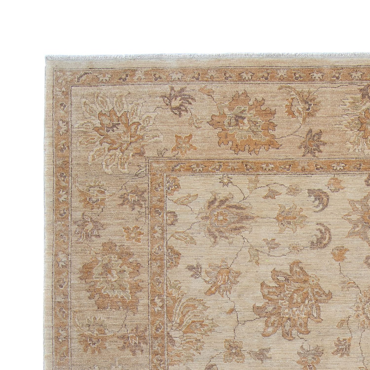 Ziegler Teppe 249x337cm - Orientalsk teppe